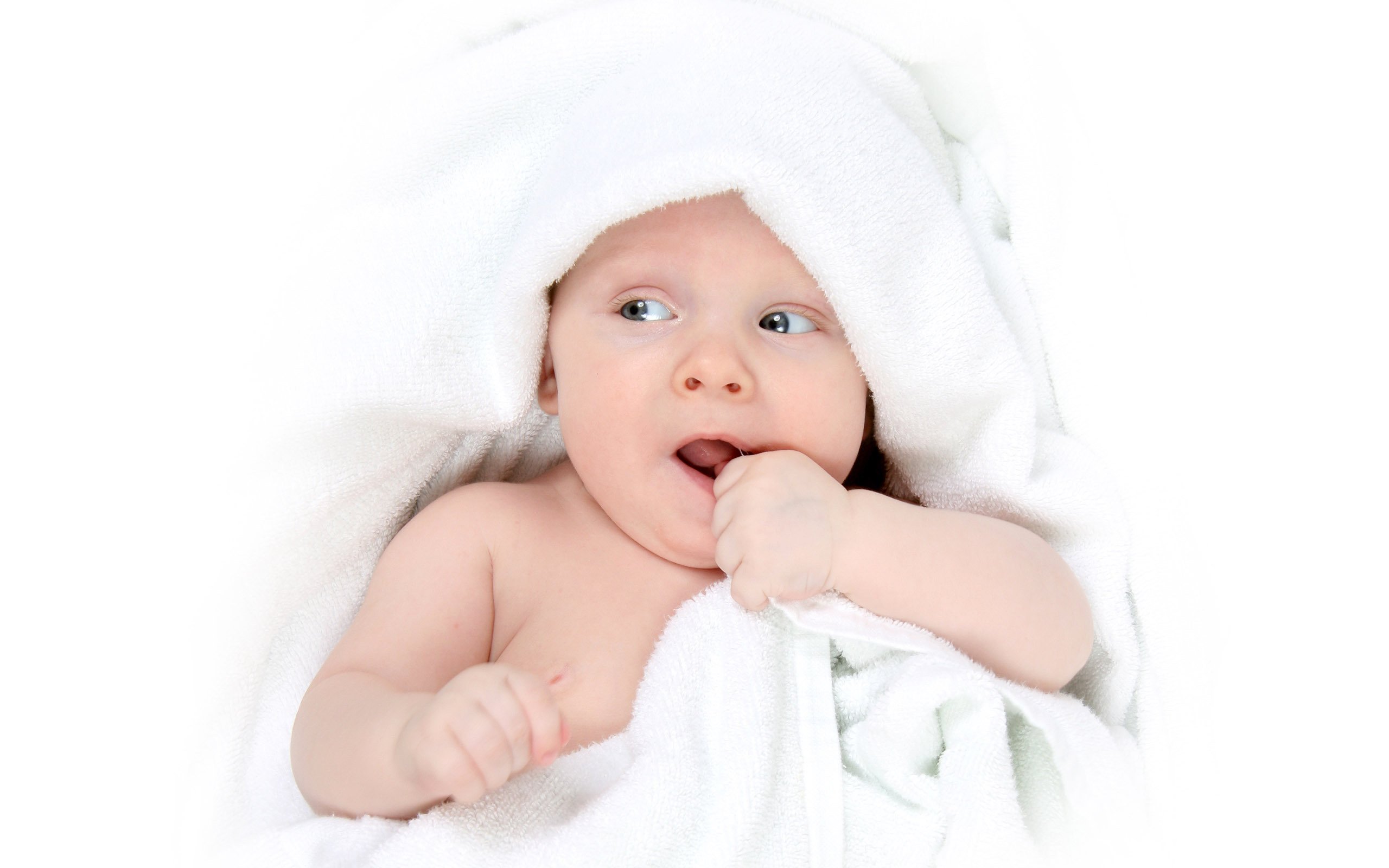 供卵代生试管婴儿的一次成功率